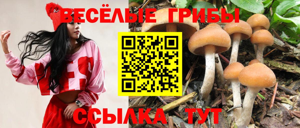 Кропоткин  Галлюциногенные грибы мицелий  Вход с VPN 